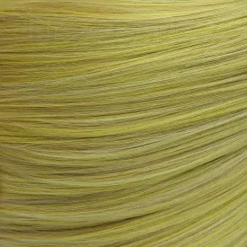 35" Weft Extension - Rich Butterscotch Blonde