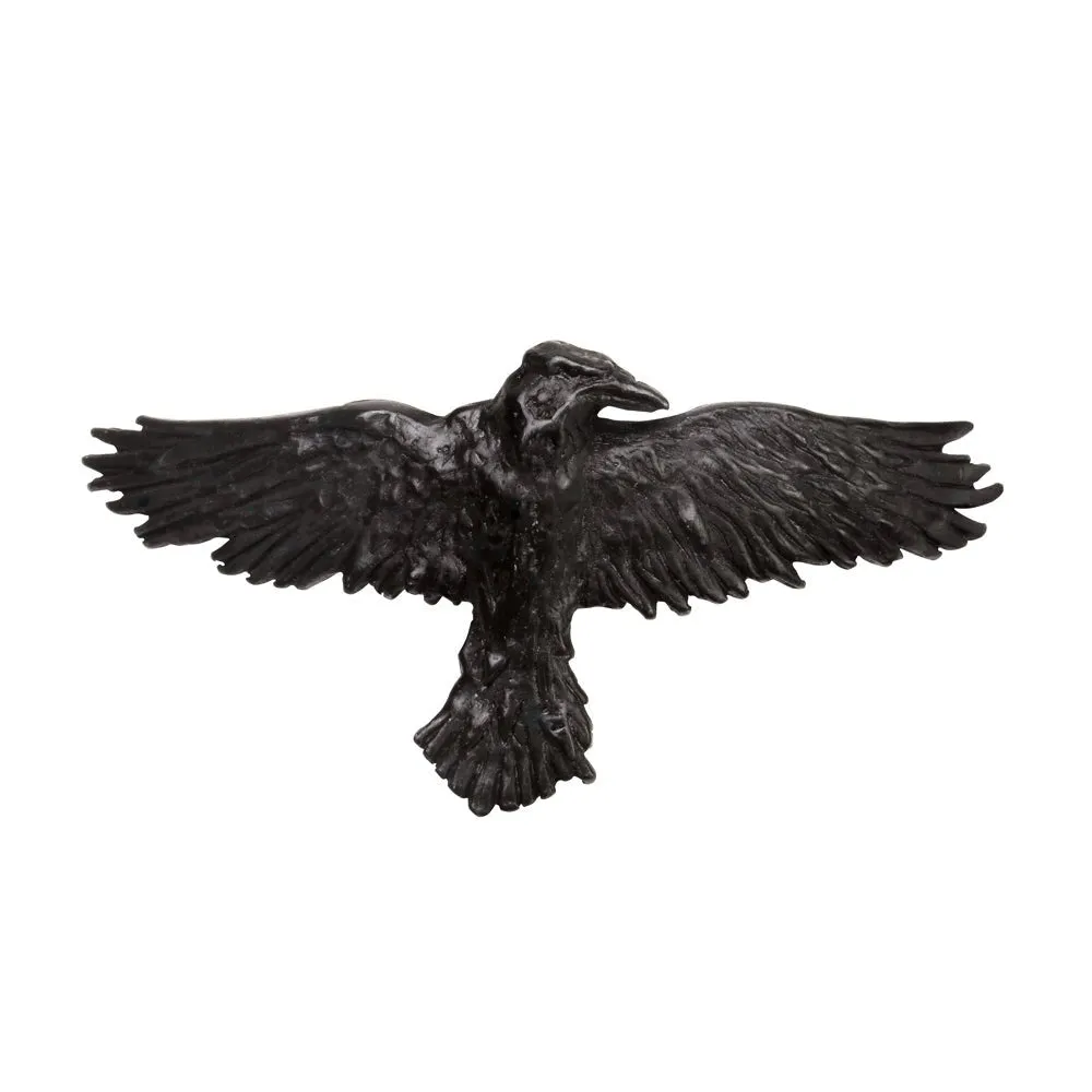 Black Raven Hair Slide Clip