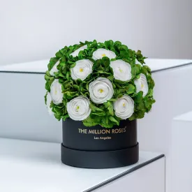 Classic Black Box | White Persian Buttercups & Green Hydrangeas