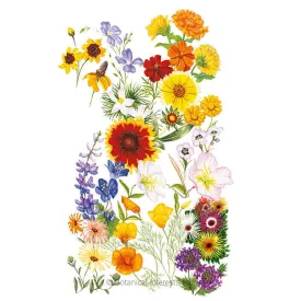 Water-Wise Garden Flower Mix Seeds