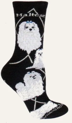 Wheel House Designs Maltese On Black Novelty Sock